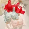 Sujetador de copa completa talla grande, lencería push-up, sujetador ajustable, elevador para bustos grandes, reductor, sujetador tipo banda anti-exposición