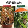 Paraguas Sombrilla de Hortensia al por Mayor del Fabricante, Paraguas de Protección para Plantas de Jardín, Paraguas para Macetas de Plantas de Exterior, Se Puede Personalizar con Logo