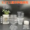 Vaso Hidropônico Transparente de Plástico Cilíndrico com Cesta de Plantio Pode Cultivar Frutas, Vegetais, Feijões, Sementes, Flores e Plantas Verdes