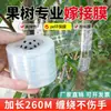 Película para injertar árboles frutales, película de PE para envolver y empacar, película selladora para cajas de comida para llevar, cinta autoadhesiva para injertar árboles frutales de jardín