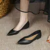 Loafers de Couro Macio Mais Vendidos Feminino Outono 2026 Novo Estilo Delicado de Fada Fundo Plano Solado Macio Boca Rasa Versátil Sapatos de Dirigir