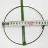 Suministros de Jardinería Soporte para Flores Trepadoras Estructura para Plantas Trepadoras Tubo de Fibra de Vidrio Anillo de Hierro Pilar de Flores Soporte para Flores de Rosa