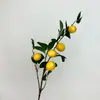 Ramas de Fruta de Naranja Simuladas, Flores Artificiales, Limón, Granada, Caqui, Decoraciones de Año Nuevo y Festival de Primavera, Arreglos Florales para Sala de Estar, Venta al por Mayor