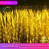 Led Wheat Ear Floor Light Estilo Pastoral Outdoor Paisagem Luz Decorativa Iluminação Gramado Luz Piso Arroz Luz Luz Trigo