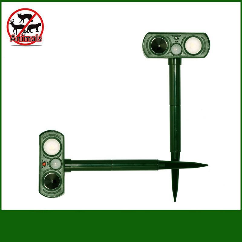 4443446095_809008439