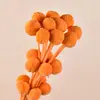 Bolas Doradas del Fabricante, Flores Naturales Reales, Materiales para Manualidades, Decoración del Hogar para la Sala de Estar, Arreglos Florales, Adornos de Flores Secas, Martillos Dorados