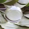 Luz nocturna de bola de cristal tallada para interiores, adornos de escritorio de cristal blanco, regalos para estudiantes, pequeños regalos de alto sentido, luz nocturna