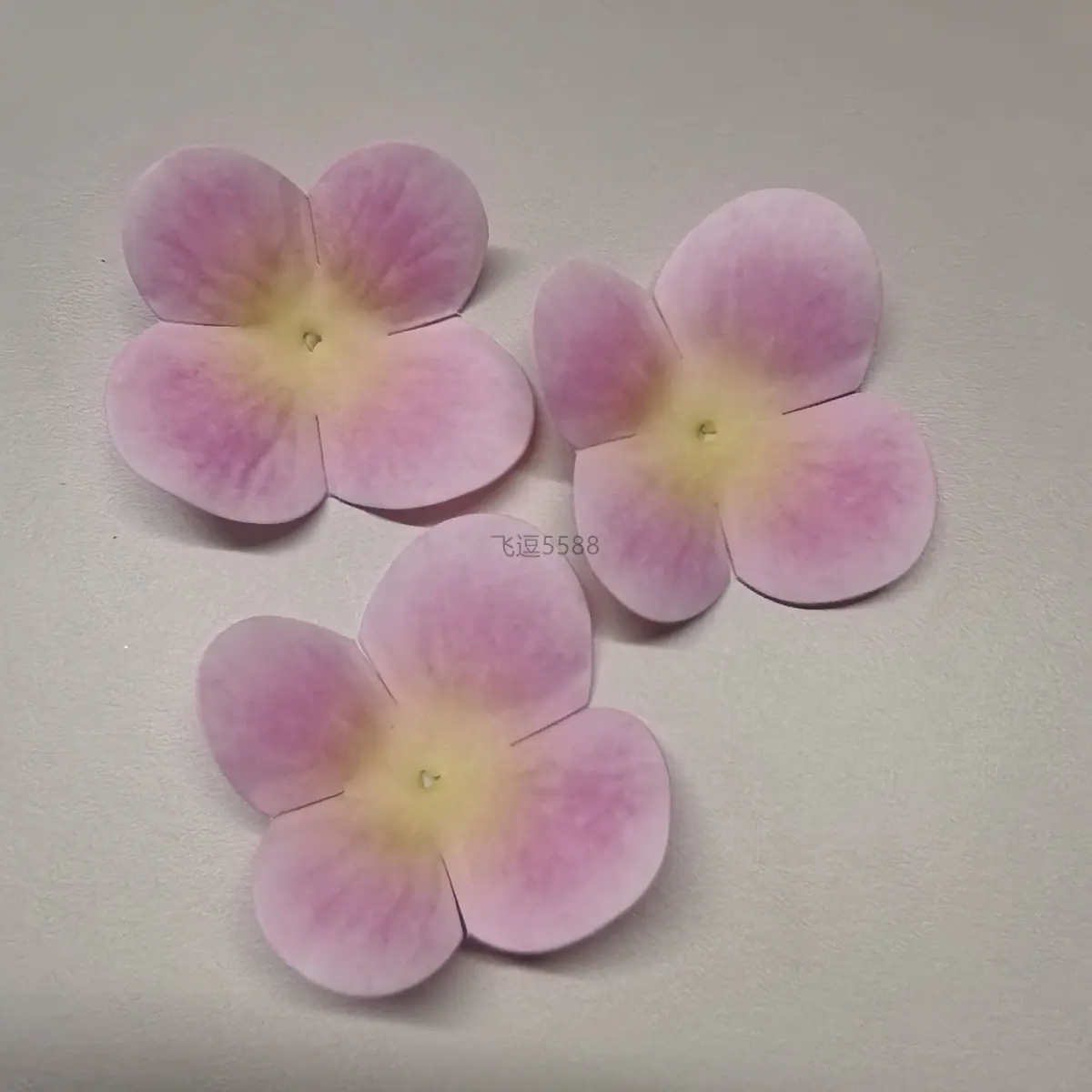 微信图片_20260106185953_5_66.jpg