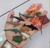 Simulación transfronteriza mini modelo de animal insecto plástico tortuga rana biología marina educación temprana juguetes cognitivos venta al por mayor