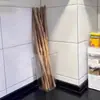 Caja de Almacenamiento Multifuncional para Cebolla Verde, Contenedor de Almacenamiento Transparente para Ñame con Palo de Hierro, Almacenamiento de Ingredientes de Jengibre y Ajo para Cocina, Almacenamiento de Verduras de Gran Capacidad
