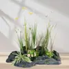Simulação de Grama Cauda de Cachorro Hairy Cordyceps Flor de Renda Planta Verde Artificial Decoração Paisagem