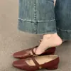 Zapatos Mary Jane Elegantes de Tacón Bajo de Nicho para Mujer 2024 Primavera Nuevos Zapatos de Vestir Cuadrados Marrones