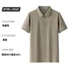 Alternativa Nido de Pájaro Camiseta de Manga Corta de Secado Rápido para Hombre Verano Camisa Polo de Negocios con Cuello Personalizado, Compra Grupal, Personalización de Nylon de Seda de Hielo