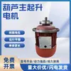 Grúa puente grúa polipasto eléctrico motor principal de elevación ZD/ZDY funciona con un motor de freno de rotor cónico