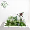 Paisajismo de Plantas Verdes Paisajismo de Balcones Decoración de Plantas Artificiales para Interiores y Exteriores Planta Viajera Plátano Espalda de Tortuga Planta Debajo de las Escaleras Paisajismo