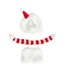Versión Mini 4.0Labubu Cuarta Generación Vinilo Peluche Base Contraseña Muñeca Ropa Sombrero de Navidad Traje de Muñeco de Nieve