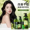Boquanya Champú Acondicionador Suave de Oliva Frescor de Verano Champú Refrescante Gel de Ducha Cuidado Al Por Mayor