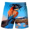 Estampado de Serie de Frutas Estilo Europeo y Americano Impresión Digital Moda Deportiva para Hombre Shorts de Playa Venta Directa de Fábrica 2541