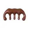 Peine Meridianos de la Cabeza, Peine de Masaje, Peine de Sándalo, Peine de Dientes Separados Anticaspa, Limpieza del Cabello, Gua Sha, Cuidado de la Salud