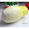 Frutas e Vegetais Simulados Couve Pu, Pimenta, Vagem, Couve-flor, Cebola, Alho, Salsão, Melão Amargo, Pepino, Bucha Vegetal, Alface Atacado