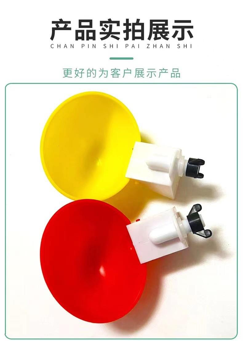 详情页 (4).jpg