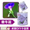 Planta Enlatada Fácil de Cultivar Caixa Surpresa Presente de Volta às Aulas para Estudante Jardim de Infância Plantio DIY com Souvenir Impresso com Logo Atacado