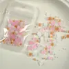 Accesorios para Uñas Camelia Perla Set Mixto Estilo Ins Flor de Resina 3D DIY Decoraciones de Uñas Portátiles Venta al por Mayor