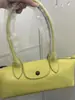 Bolso Mini Dumpling de Piel de Cordero con Adorno de Dragón Francés, Bolso Bandolera Tipo Baguette, Bolso de Mano con Adorno de Dragón, Bolso Ligero Versátil de Moda para Mujer
