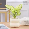 Planta em Vaso Vermelho Geely, Planta Verde Ruyi Rainha Elefante Branco Hidropônica, Planta de Folha Decorativa para Mesa de Escritório, Flor Fácil de Cuidar