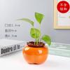 Grandes Adornos Decorativos de Contenedor de Escritorio Gedali Jarrón Naranja Creativo Maceta Hidropónica de Cerámica Planta Hidropónica Arochus Verde