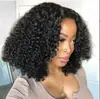 AliExpress transfronterizo peluca africana de rollo pequeño cabeza explosiva esponjosa femenina venta caliente mecanismo fibra química cobertura completa de cabeza europea y americana en stock