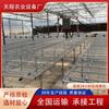 Cama de Semillero Móvil Galvanizada Especial para Plantación Agrícola, Anticorrosión y Antióxido, Rejilla de Marco de Aleación de Aluminio, Estante de Plantación, Cama de Vivero