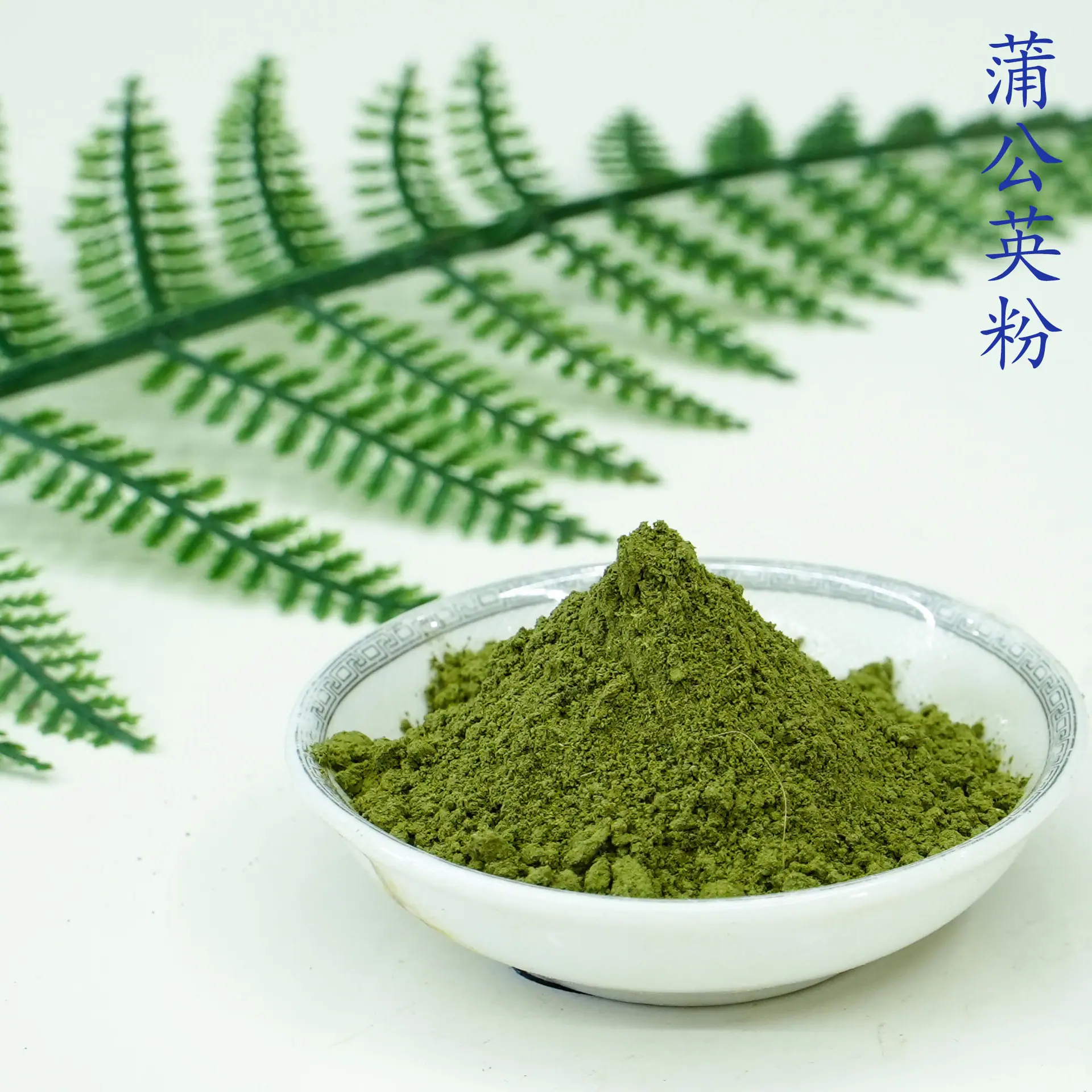 蒲公英粉5.jpg