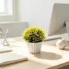 Item popular transfronteiriço: Ornamento de Bonsai Hemisférico de Grama Cauda de Fênix com 31 Peças para Mesa de Centro de Casa, Arranjo de Flores Artificiais, Planta em Vaso com Flores Simuladas e Plantas Verdes