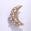 Broche de perlas para mujer, exquisito diseño de nicho, ramillete, ropa, broche anti-caminar, accesorios atmosféricos.