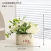 Plantas Verdes Simuladas, Árbol del Dinero de Lujo Accesible y Elegante, Adornos de Decoración para Sala de Estar Interior, Plantas Artificiales en Maceta, Paisajismo, Flores Artificiales, Plantas Biónicas