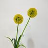 Fábrica de atacado de flor artificial cebola única cebola cebola decoração de casa hotel flor falsa casamento arranjo de flores arranjo de paisagem