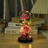 Nueva Cubierta de Vidrio Luminosa LED Creativa Rosa Micro Paisaje Regalo Día de San Valentín Chino Artesanías de Vidrio