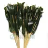 Brochetas populares para snacks en línea, brochetas comerciales, brochetas fritas, productos semielaborados, brochetas picantes revolucionarias, brochetas para olla caliente, brochetas de res picantes