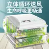 Fábrica de Comércio Exterior Marca Nova Incubadora de Aves Totalmente Automática Incubadora de Ovos de Galinha, Pato e Ganso Incubadora para Criação em Fazenda