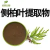 Extracto de Hoja de Tuya Platycladus Polvo de Materia Prima, Polvo de Hoja de Tuya Platycladus Soluble en Agua, Polvo de Materia Prima de Hoja de Tuya Platycladus Secado por Aspersión
