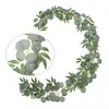 Amazon Hoja Verde Hoja Redonda Eucalipto Hoja de Sauce Enredadera Hiedra Flor Decorativa Transfronterizo Comercio Exterior Flor Artificial