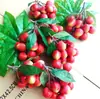 Modelo de Fio de Lichia Simulada Feizi Xiaolongan Longan Frutas Plásticas Falsas Adereços de Fotografia Decoração de Modelo Sala de Aula Materiais Didáticos