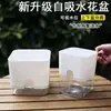 Maceta Cuadrada Absorbente de Montaje Sin Riego Auto-Riego Maceta para Persona Perezosa Maceta de Celebridad de Internet Suculenta Clorofito Hortensia Maceta Duradera
