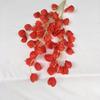 Linterna de fruta de carambola de simulación, fotografía de bodas, suministros de flores falsas, flores de simulación al por mayor, una generación de cabello