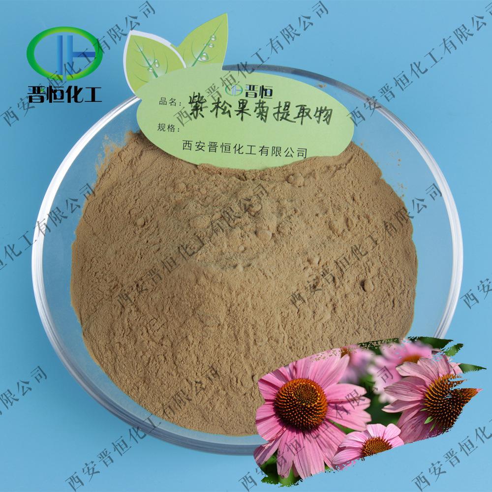 紫松果菊容器+粉末