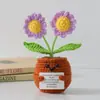 Flor de Tricô de Energia Positiva Transfronteiriça Planta em Vaso Produto Acabado Fio de Lã Flor de Simulação Ornamento de Mesa Boneca de Cartão de Mão