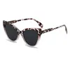 Óculos de Sol Retrô Novos em Formato de Gato 2026 Tendência Unisex Óculos de Sol para Influenciadores Óculos de Sol com Proteção Solar Fashion