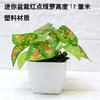 Planta Simulada Maceta Mesa Mini Adornos Planta Falsa Bonsái Hogar Sala de Estar Decoraciones Planta Verde Interior