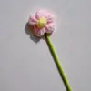 Crochê de Lã Acabado Feito à Mão Transfronteiriço 4cm Flor Artificial Única Puff Decorações Pequenas para Sala de Estar DIY para Construção de Equipe
